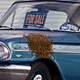 Illustration for article titled And then the car was attacked by bees...